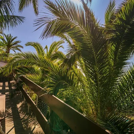 Ourmadeira - Vista Grande, Panoramic Views *