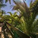 Ourmadeira - Vista Grande *