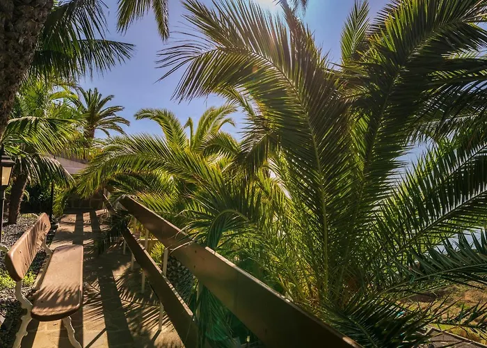 Ourmadeira - Vista Grande *